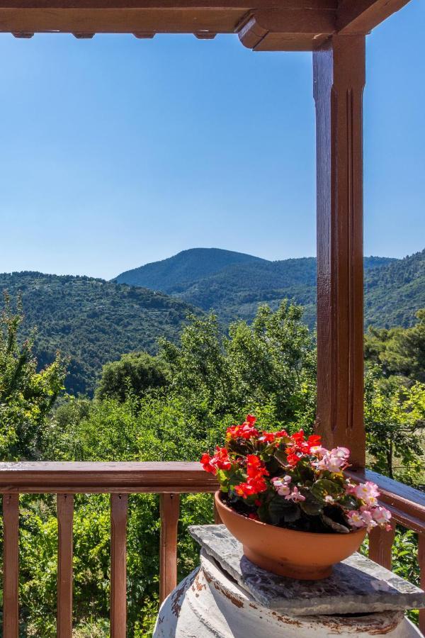 Country Villa Ouranos سكوبيلوس تاون المظهر الخارجي الصورة