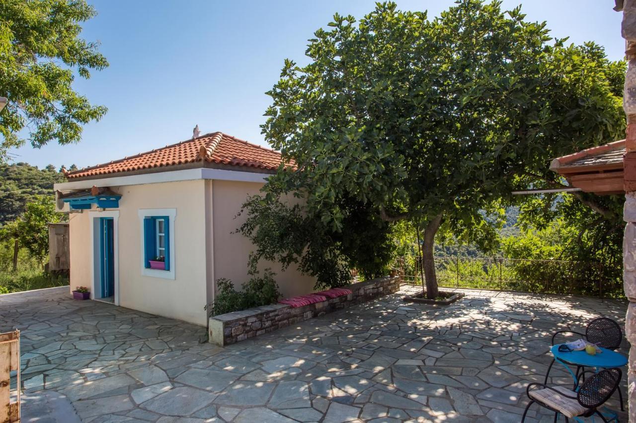 Country Villa Ouranos سكوبيلوس تاون المظهر الخارجي الصورة